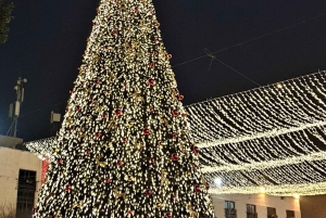 Jerusalém/Tel Aviv: excursão privada a Belém e Jerusalém