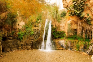 Jerusalem/Tel Aviv: Massada - Dead Sea - Ein Gedi