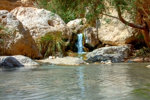 Gerusalemme/Tel Aviv: Massada - Mar Morto - Ein Gedi