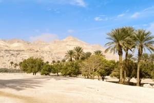 Jerusalém/Tel Aviv: Massada - Mar Morto - Ein Gedi