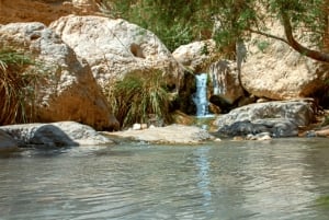 Jerusalém/Tel Aviv: Massada - Mar Morto - Ein Gedi