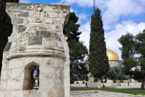 Jerusalem: Tour with Private Guide