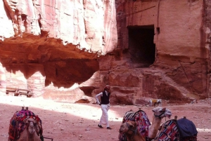 Tour privado de dos días a Petra desde Israel