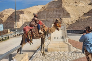 Tel Aviv: Puolen päivän yksityinen ranta Kuolleella merellä – pienet ryhmät
