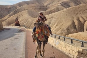 Tel Aviv: Puolen päivän yksityinen ranta Kuolleella merellä – pienet ryhmät