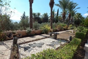 Tel Aviv: Israel 8-Day Christian Sites Tour