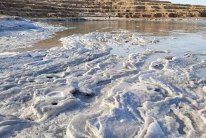 Tel Aviv/Jérusalem : visite privée à Massada, Ein Gedi et la mer Morte