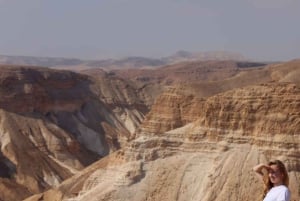 Tel Awiw/Jerozolima: wycieczka prywatna do Masady, Ein Gedi i Morza Martwego