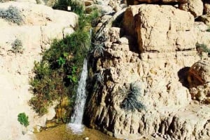 Tel Awiw/Jerozolima: wycieczka prywatna do Masady, Ein Gedi i Morza Martwego