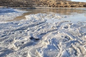 Tel Awiw/Jerozolima: wycieczka prywatna do Masady, Ein Gedi i Morza Martwego