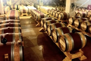 Tour privato delle cantine dell'Israele centrale