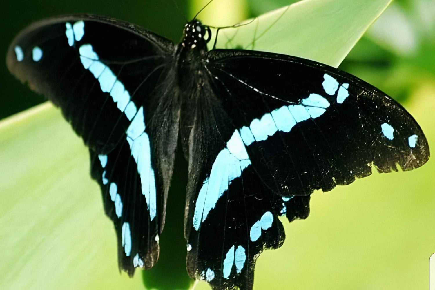 10-дневный фототур по Крюгеру и за его пределами