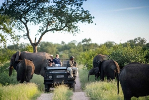 10 day Kruger and beyond photographic tour