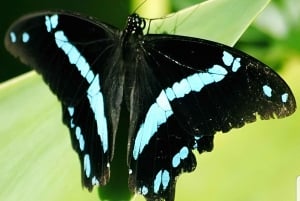 10-дневный фототур по Крюгеру и за его пределами