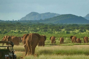 Excursão de 12 dias pela África do Sul - Joanesburgo a Cidade do Cabo