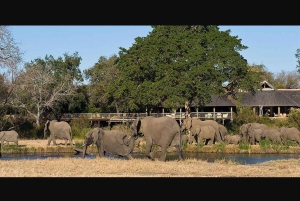 Excursão de 15 dias pela África do Sul - Cidade do Cabo a Joanesburgo