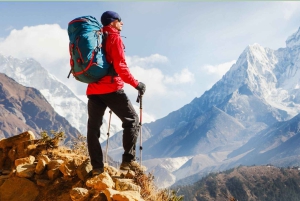 Excursão de 15 dias pela África do Sul - Cidade do Cabo a Joanesburgo