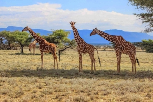 Excursão de 15 dias pela África do Sul - Cidade do Cabo a Joanesburgo