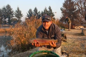 2,5 timers privat fluefiskeklinik: Lanseria Country Estate