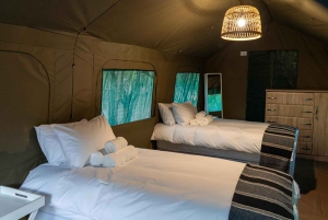 Aventura económica de 2 días en el Kruger Glamping