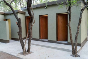 Aventura económica de 2 días en el Kruger Glamping