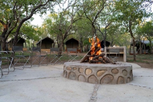 Aventura económica de 2 días en el Kruger Glamping