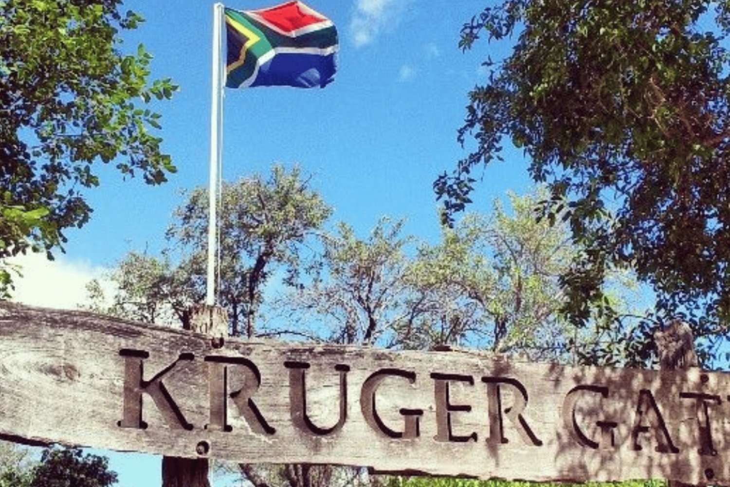 2-Day Luxury Kruger Safari from Johannesburg