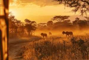 2-Day Luxury Kruger Safari from Johannesburg