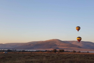 Pilanesberg Prestige Safari