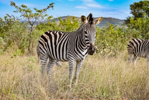 2vrk Krugerin kansallispuisto