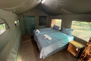 3 Day Dumela Tented Camp Safari