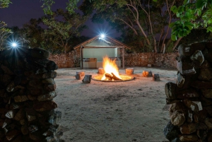 3 Day Dumela Tented Camp Safari