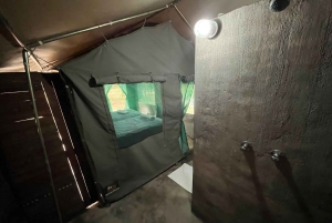 3 dages safari i Dumela Tented Camp