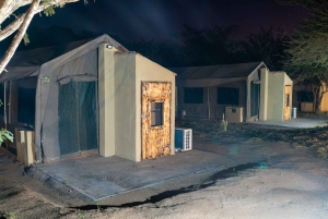 3 dages safari i Dumela Tented Camp