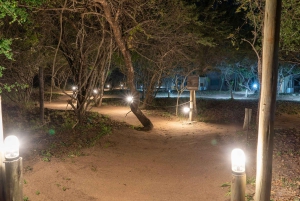 3 dages safari i Dumela Tented Camp