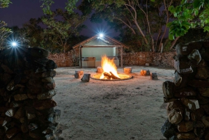 3 dages safari i Dumela Tented Camp