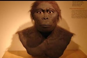 3-Day Johannesburg, Pretoria, Cradle & Lesedi Tour