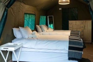 Johannesburg: 3-dagers budsjett-glampingsafari i Kruger