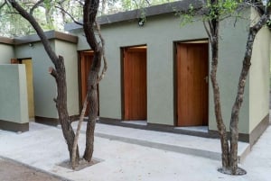 Johannesburg: 3-dagers budsjett-glampingsafari i Kruger