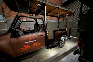 Трехдневное роскошное сафари в отеле Ivory Moon Lodge