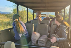 Safari de 3 días en Pilanesberg Tlou con tiendas con baño privado