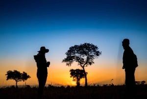 Safari Sabi Sands de 3 dias no Umkumbe Lodge