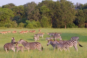 3 dagar 2 nätter Panorama Tour & Kruger National Park Safari