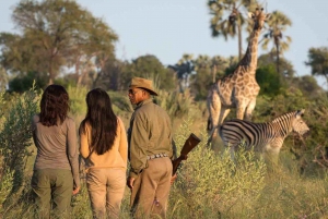 3 jours de safari dans le parc national Kruger (Big 5) au départ de Johannesburg