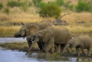3 Days Kruger National Park Safari and Panorama Route Tour
