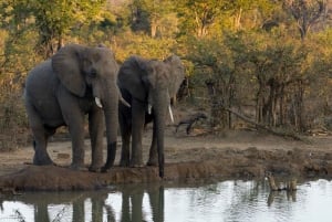 3 Days Kruger National Park Safari and Panorama Route Tour