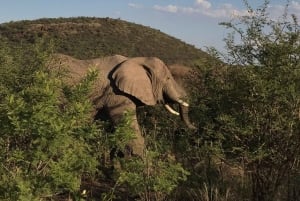 3 Days Kruger National Park Safari and Panorama Route Tour