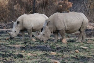 3 Days Kruger National Park Safari and Panorama Route Tour