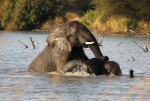 3 Days Kruger National Park Safari and Panorama Route Tour