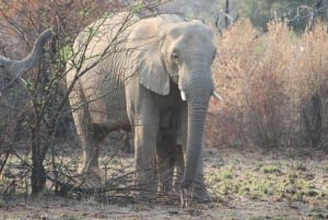 3 Days Kruger National Park Safari and Panorama Route Tour